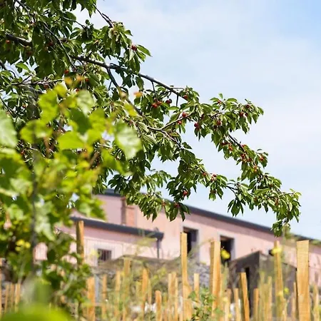 Holiday home Tenuta Costa Sovere