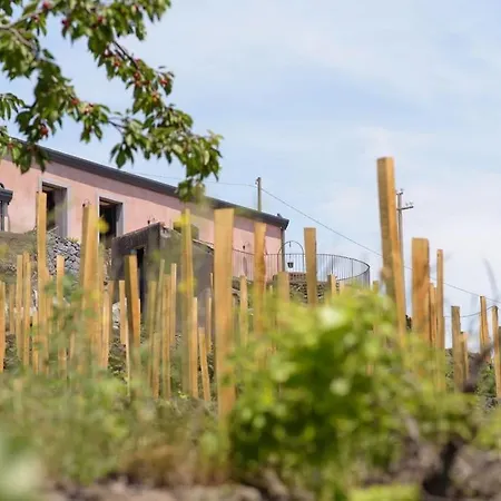 Holiday home Tenuta Costa Sovere
