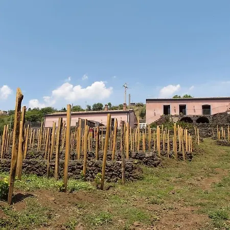 Tenuta Costa Sovere