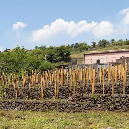 Tenuta Costa Sovere
